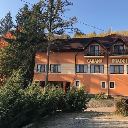 Pensiunea turistica Cabana Bradet Şimleu Silvaniei Exterior foto