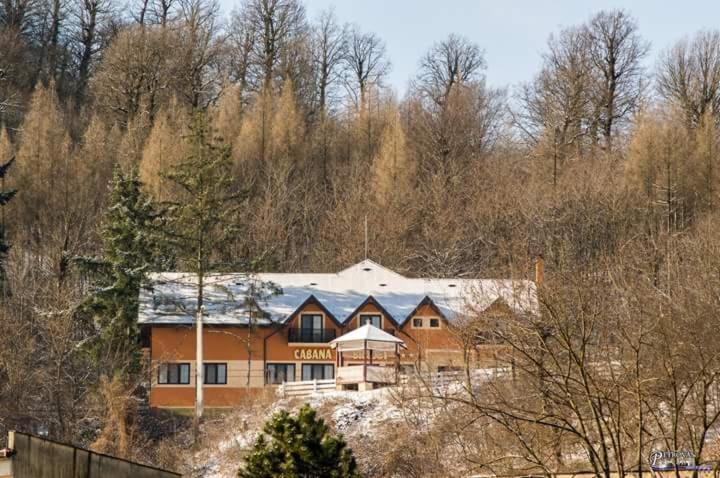 Pensiunea turistica Cabana Bradet Şimleu Silvaniei Exterior foto