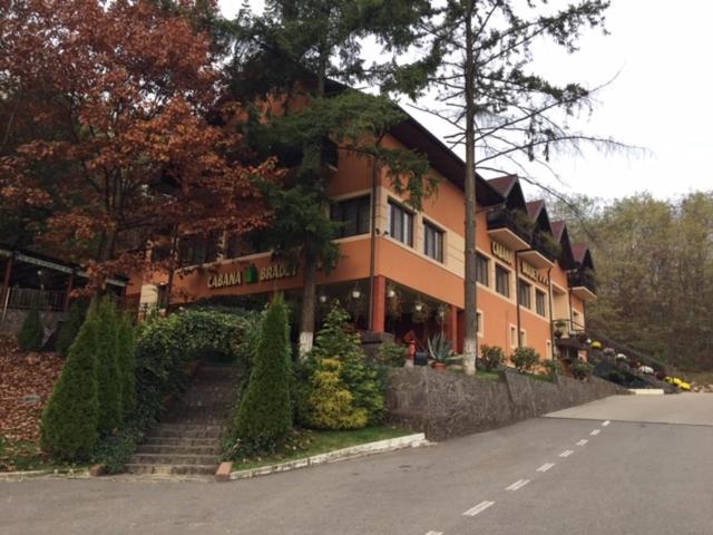 Pensiunea turistica Cabana Bradet Şimleu Silvaniei Exterior foto