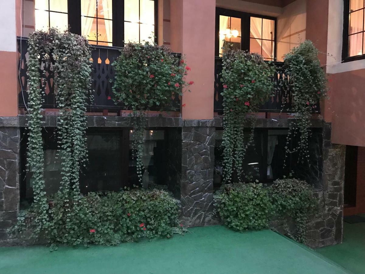 Pensiunea turistica Cabana Bradet Şimleu Silvaniei Exterior foto
